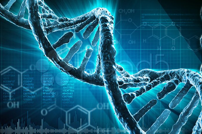 ¿Cómo desarrollar el ADN de una marca?
